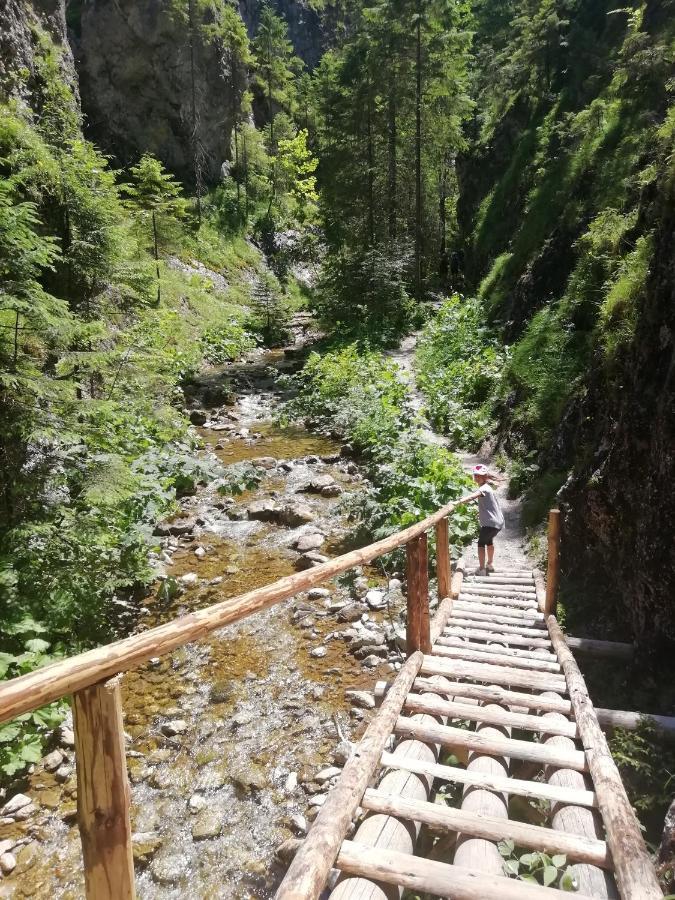Domcek Michaela Villa Zuberec Dış mekan fotoğraf