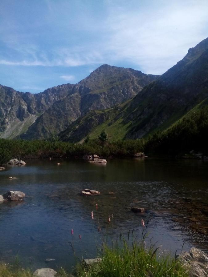 Domcek Michaela Villa Zuberec Dış mekan fotoğraf